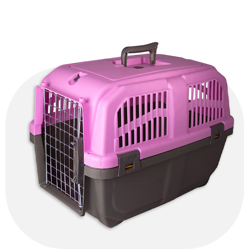 پت شاپ